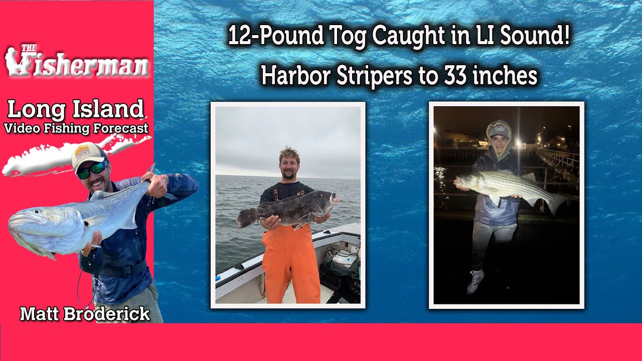 April 10th 2025 Long Island Metro Fishing Report with Matthew Broderick