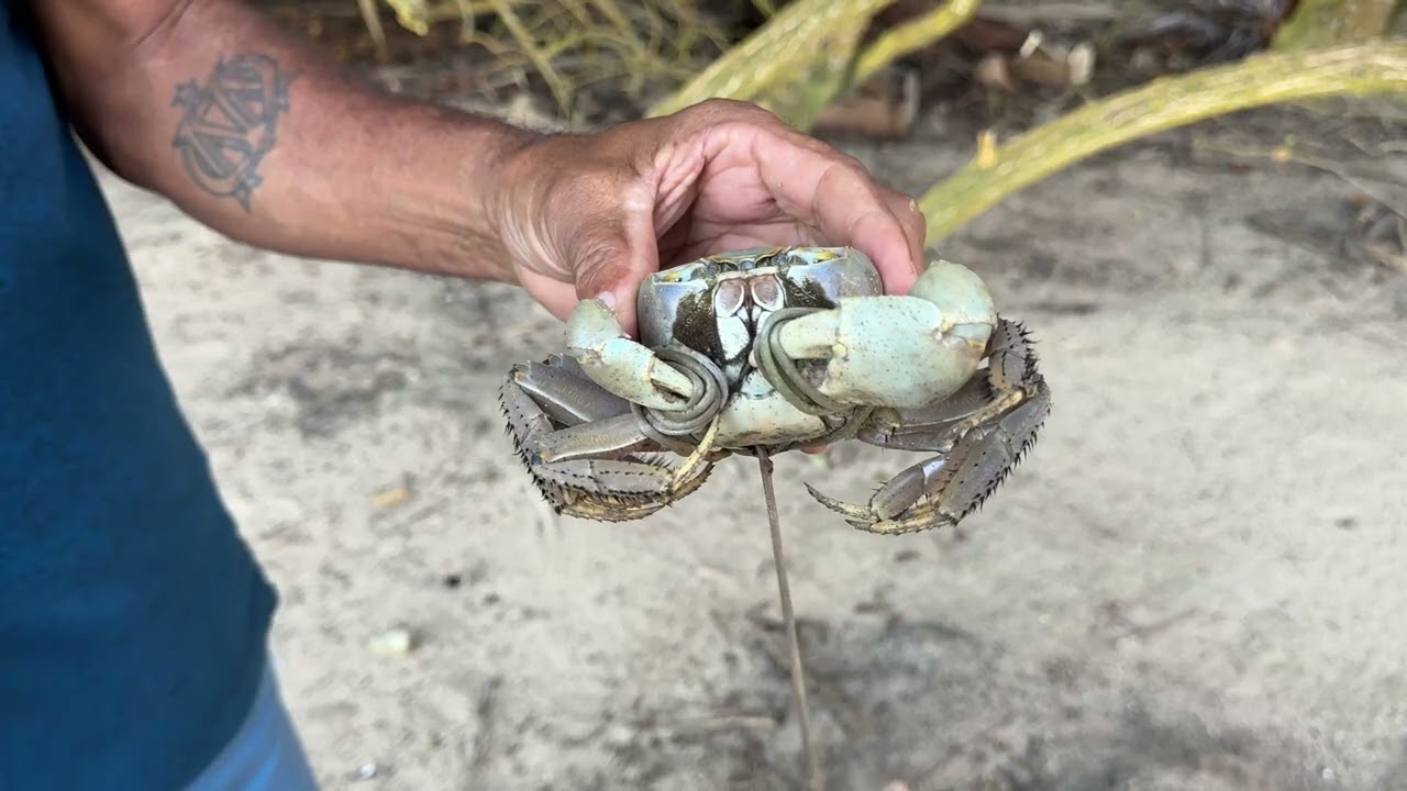 Guadeloupe mars 2024 La côte sous le vent