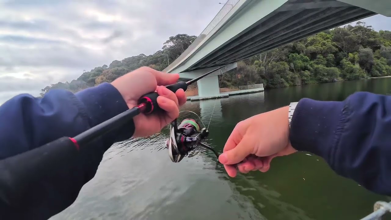 How to catch fish on lures at lakes entrance