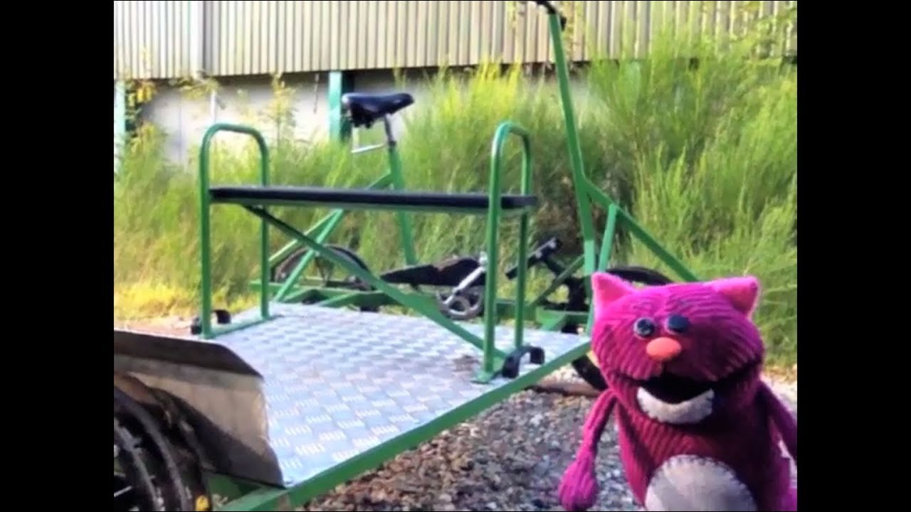 CAT RIDING A BICYCLE! 