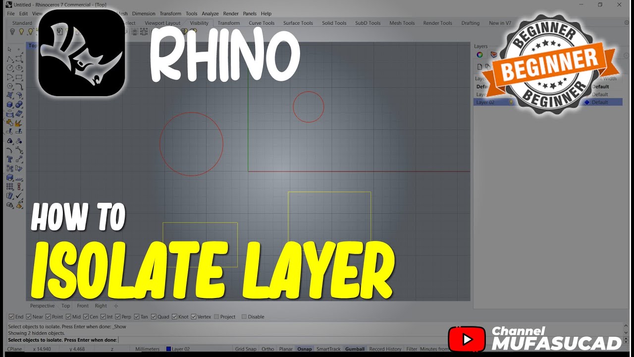 Rhino How To Isolate Layer