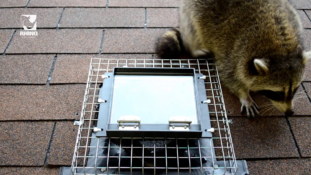 RHINO™ R108 EXCLUDER ONE WAY DOOR FOR RACCOONS