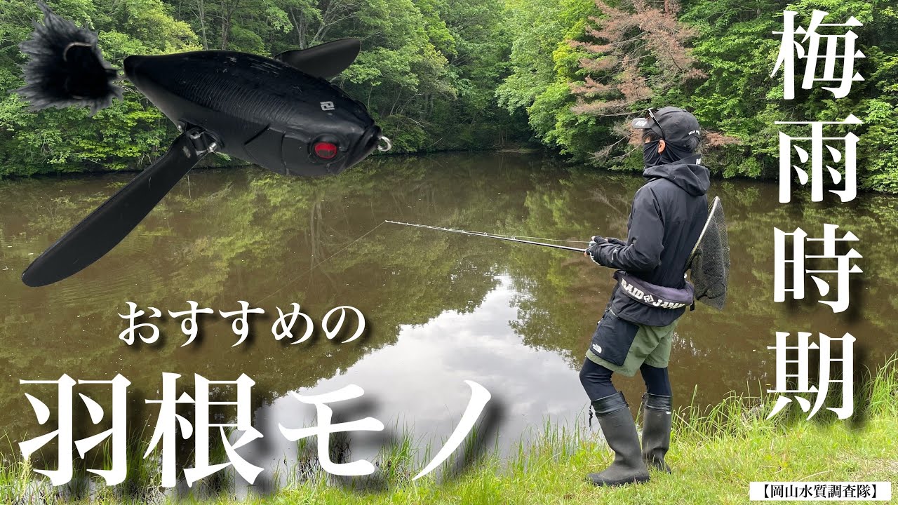 【梅雨時期のバス釣り】おすすめのトップウォータープラグ『デカダッジ』の使い方を解説しながら調査していきます。レイドジャパン　羽根モノ　ベイトリール　Daiwa ダイワ　ゴメクサス　カスタム