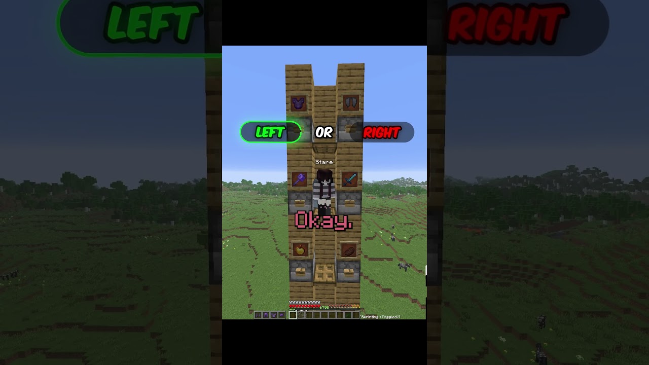 Minecraft: влево или вправо
