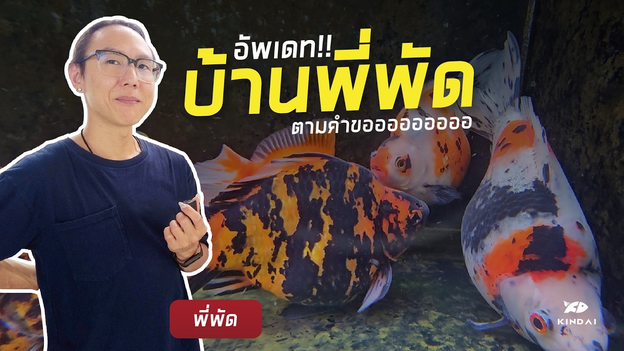 Kindai สัญจร EP.3 : บ้านพี่พัด ลัดคิว
