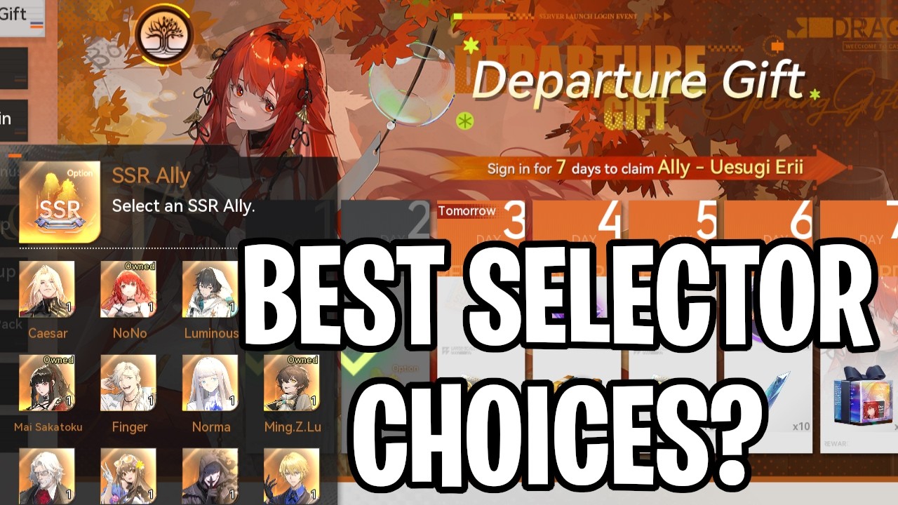Best FREE Selector Choices! What I Recommend! [Dragon Raja Rerise]