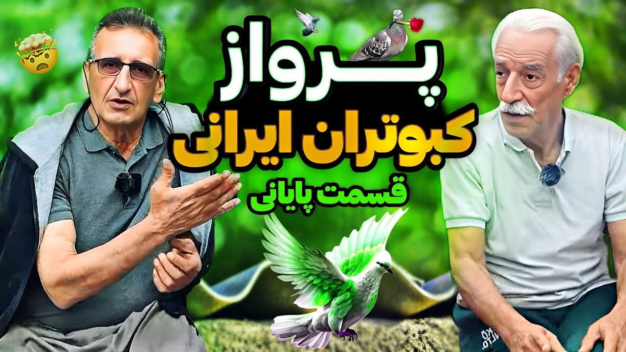 جلسه پنجم پرواز کبوتران ایرانی 🇮🇷 نژاد ناسا خط پایان |قسمت پایانی 🌱🕊