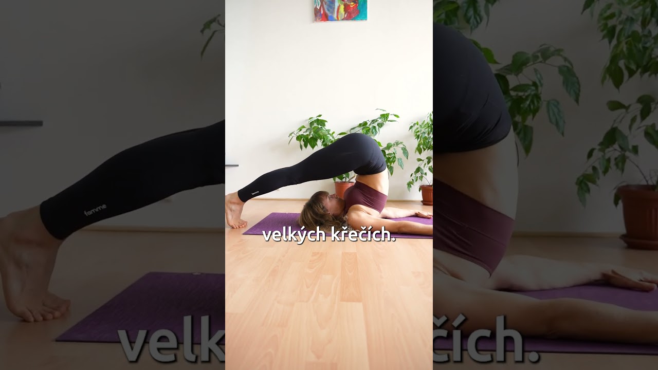 Už ž&aacute;dn&eacute; zaražen&eacute; prdy! #joga #cviceni #pohyb