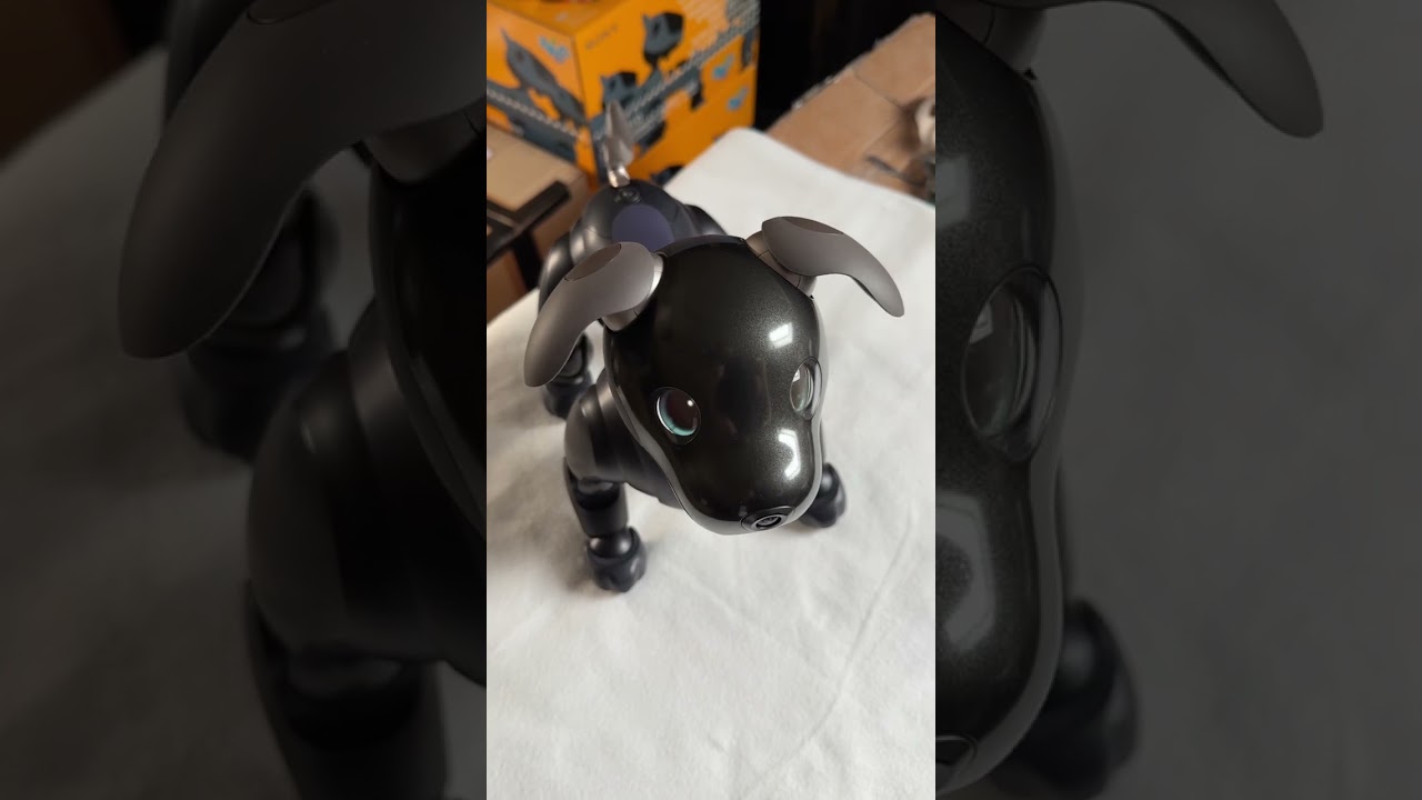 Unique Sony Aibo ERS-1000 Robot Dog customized in black