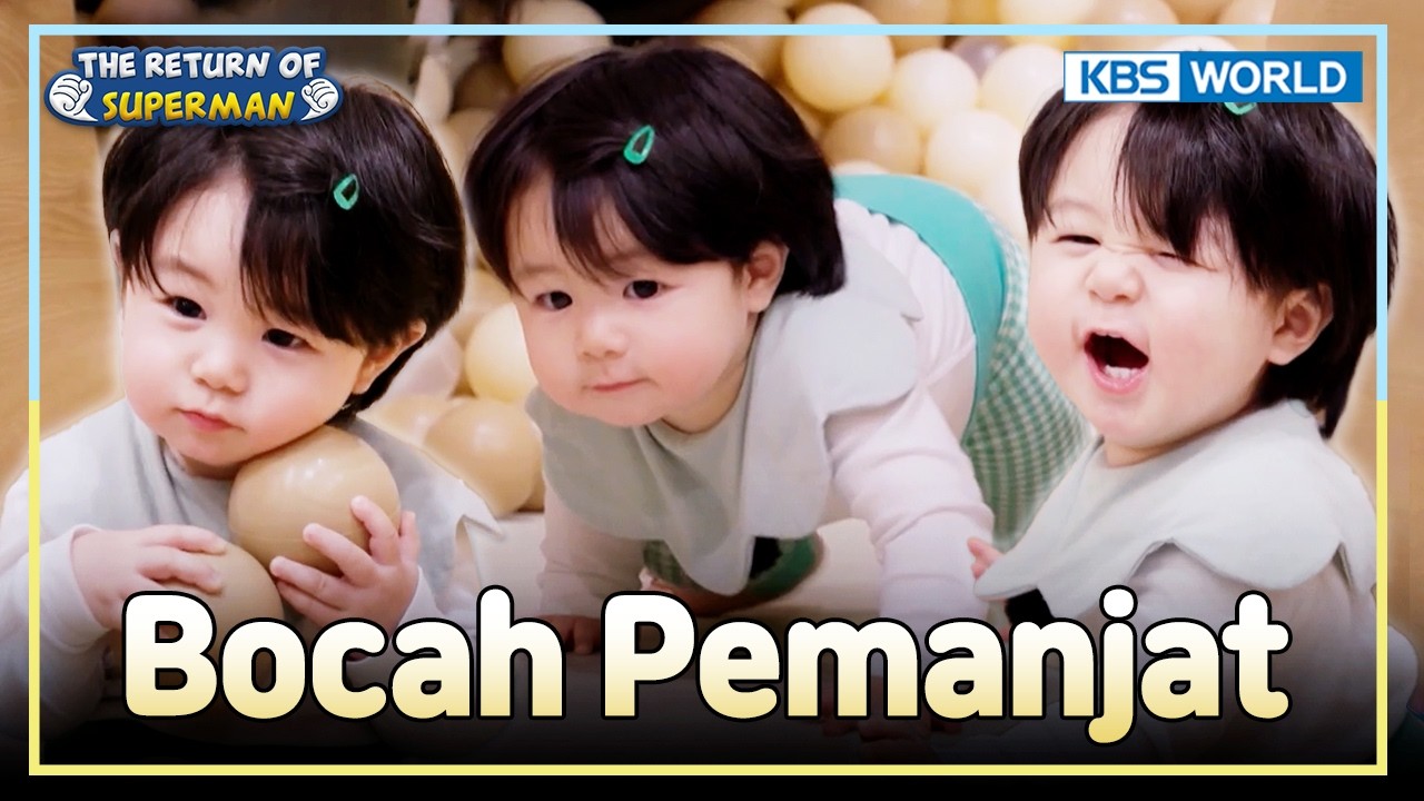 Begitu Naik, Haru Susah Dihentikan 😆 | The Return of Superman [IND/ENG] | KBS WORLD TV 260315