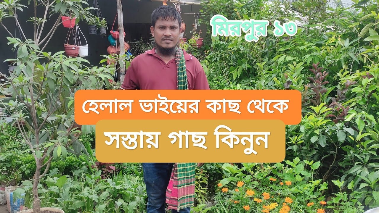 সস্তায় উন্নত গাছ কিনুন।🪴 বাগান সামগ্রীর দাম জানুন। Gardening materials price in BD। জাহিদ নার্সারি🪴
