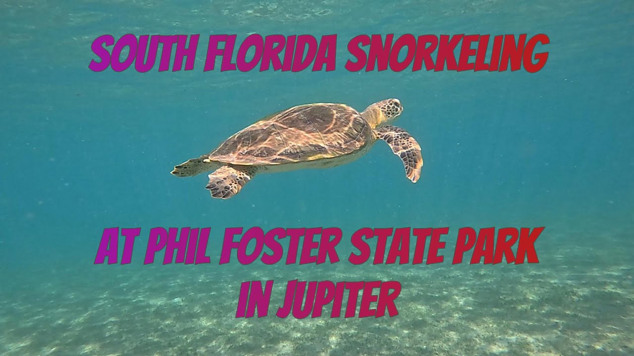 Snorkeling in Jupiter, Florida - Ep. 1 (Raw Footage, No Commentary)