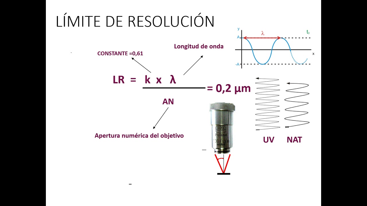 Microscopía Magnificación, poder y límite de resolución