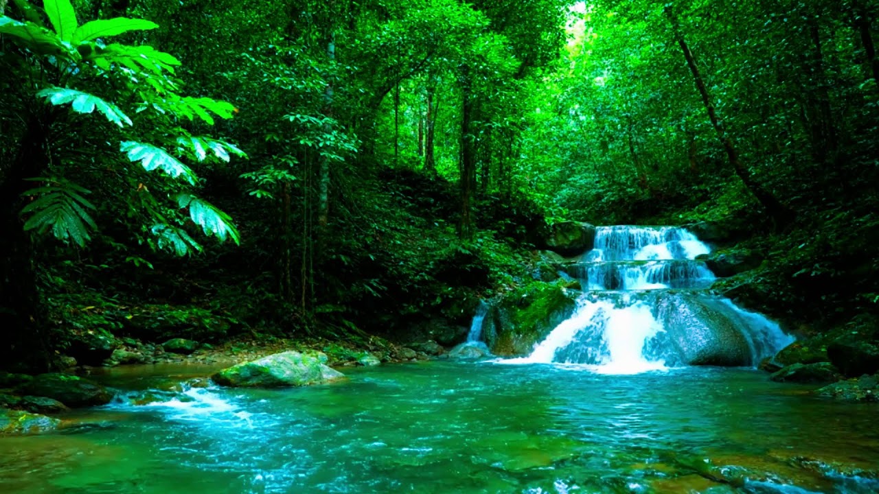 ТЫ УСНЕШЬ МГНОВЕННО 💧 Самый спокойный водопад природы — Снятие стресса