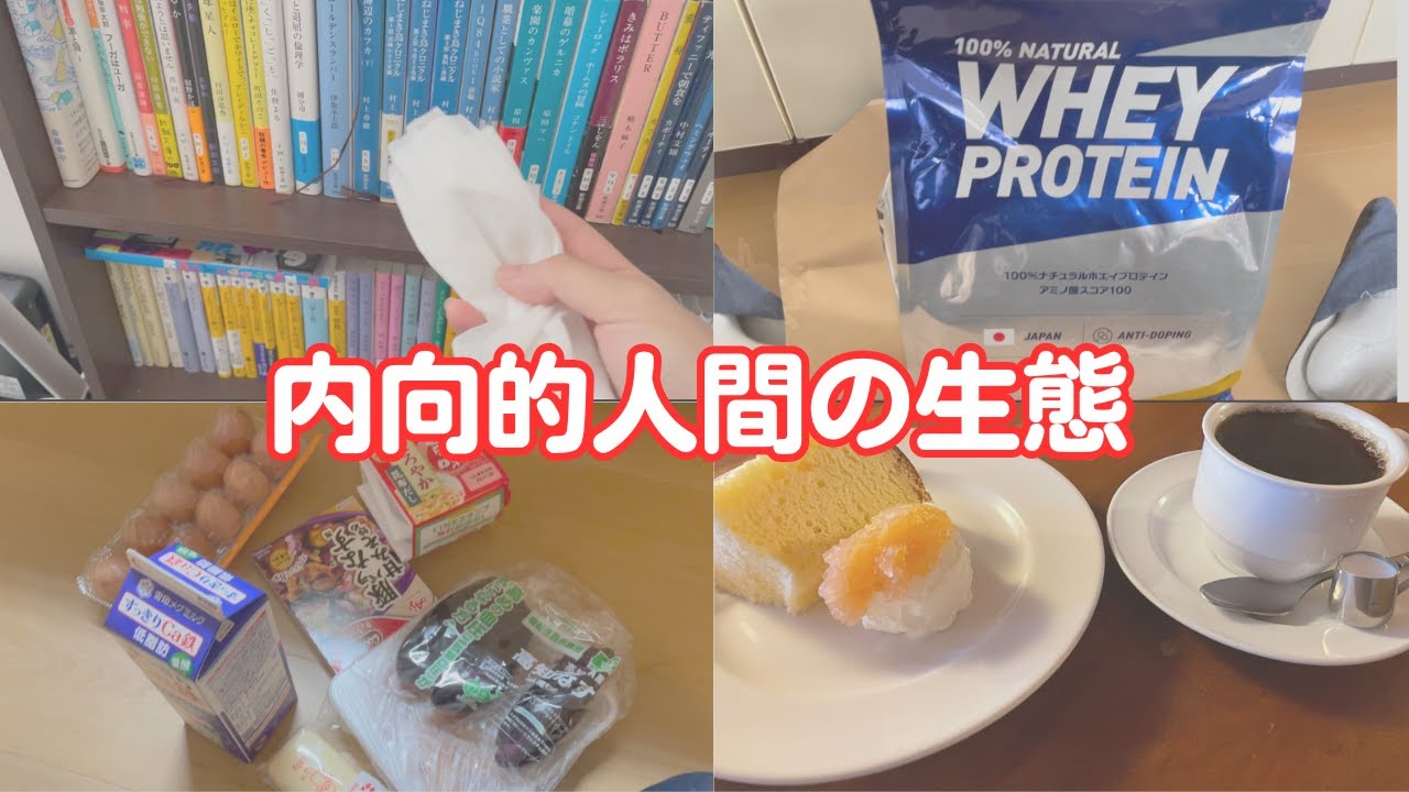 本好きな内向的人間の１日