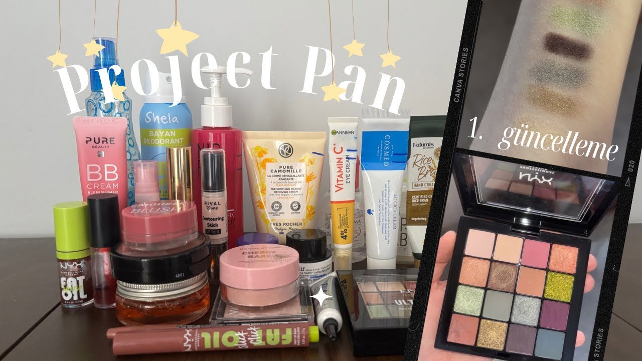 Project Pan - 1. Güncelleme, Ocak 2025🥹