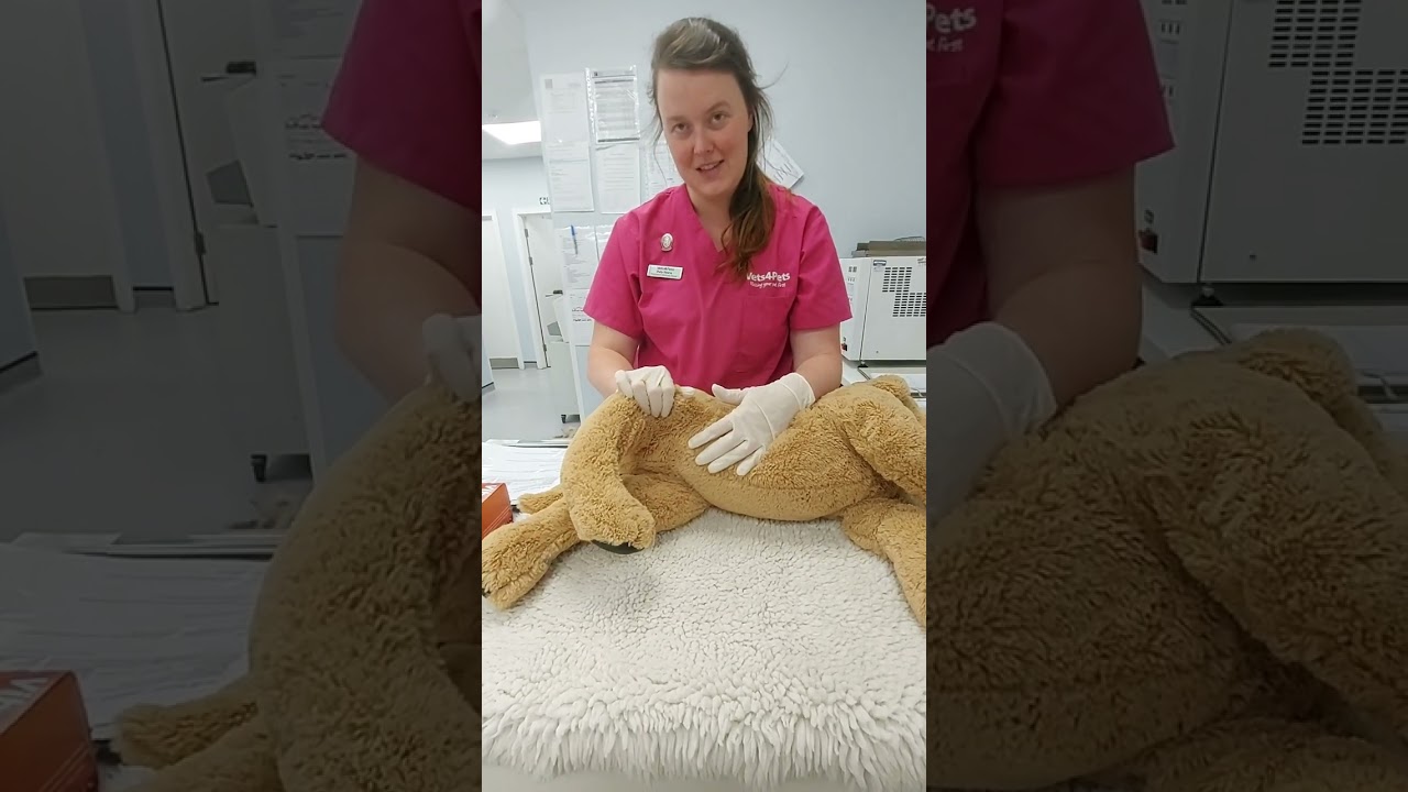 Nursing Care - Physiotherapy