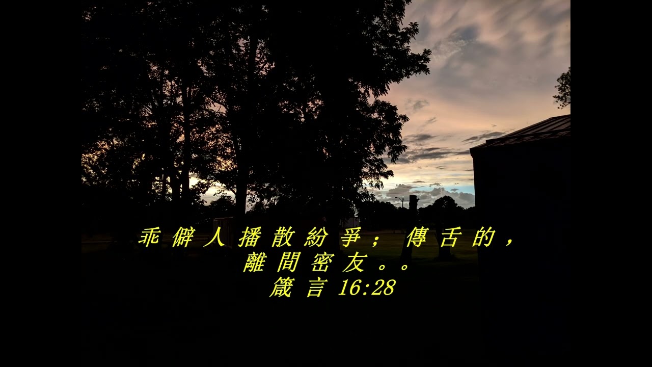 今天的每日聖經經文Jīntiān de měi rì shèngjīng jīng wén
