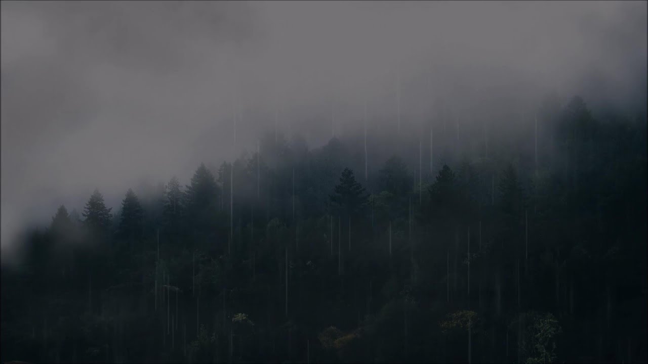 Foggy Forest Rain | Cinematic Ambient Soundscape (8 Hours)