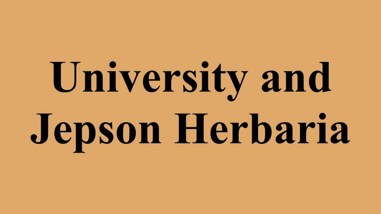 University and Jepson Herbaria