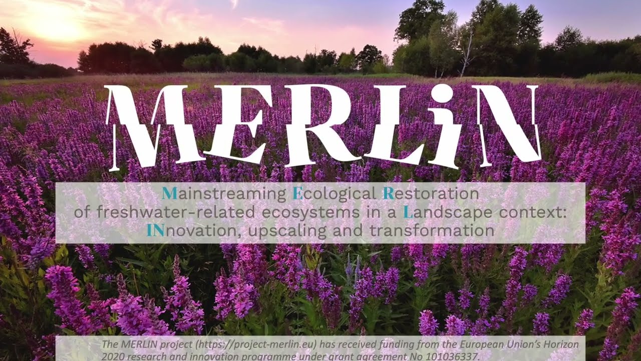Sebastian Birk : EU innovation project MERLIN, 10th Nordic WFD Conference, Reykjavik , Aug  30  2022