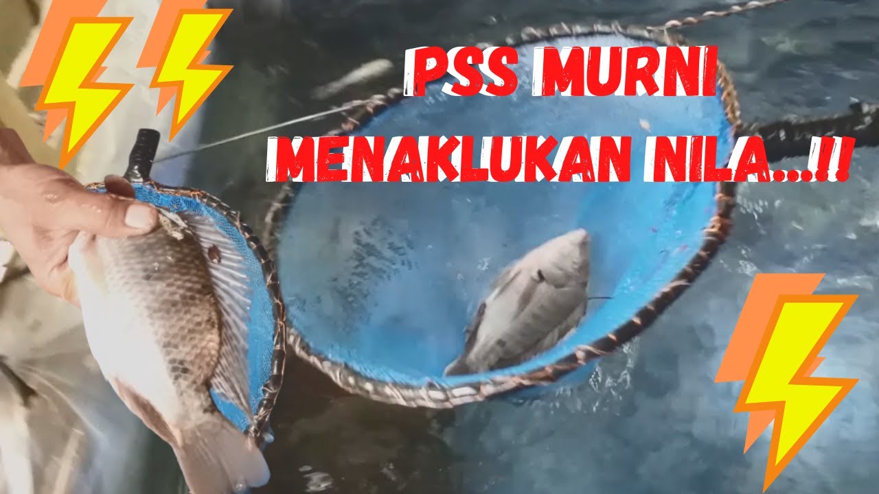 PSS MURNI MENAKLUKAN NILA...!