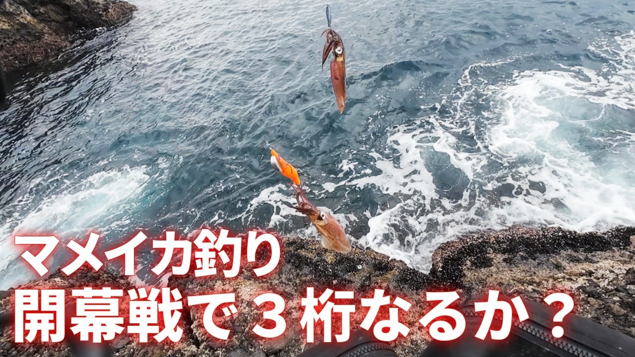 【マメイカ釣り】好調の有名ポイントで開幕戦スタート！