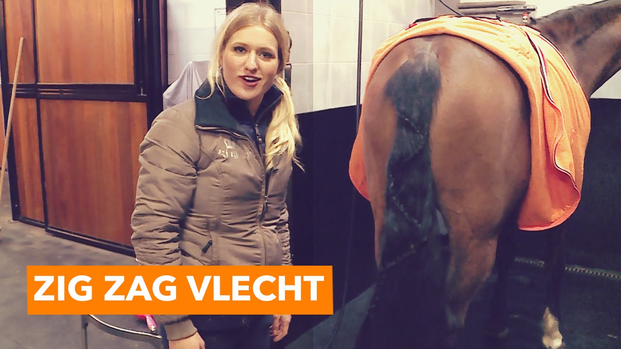 Zig zag vlecht | PaardenpraatTV