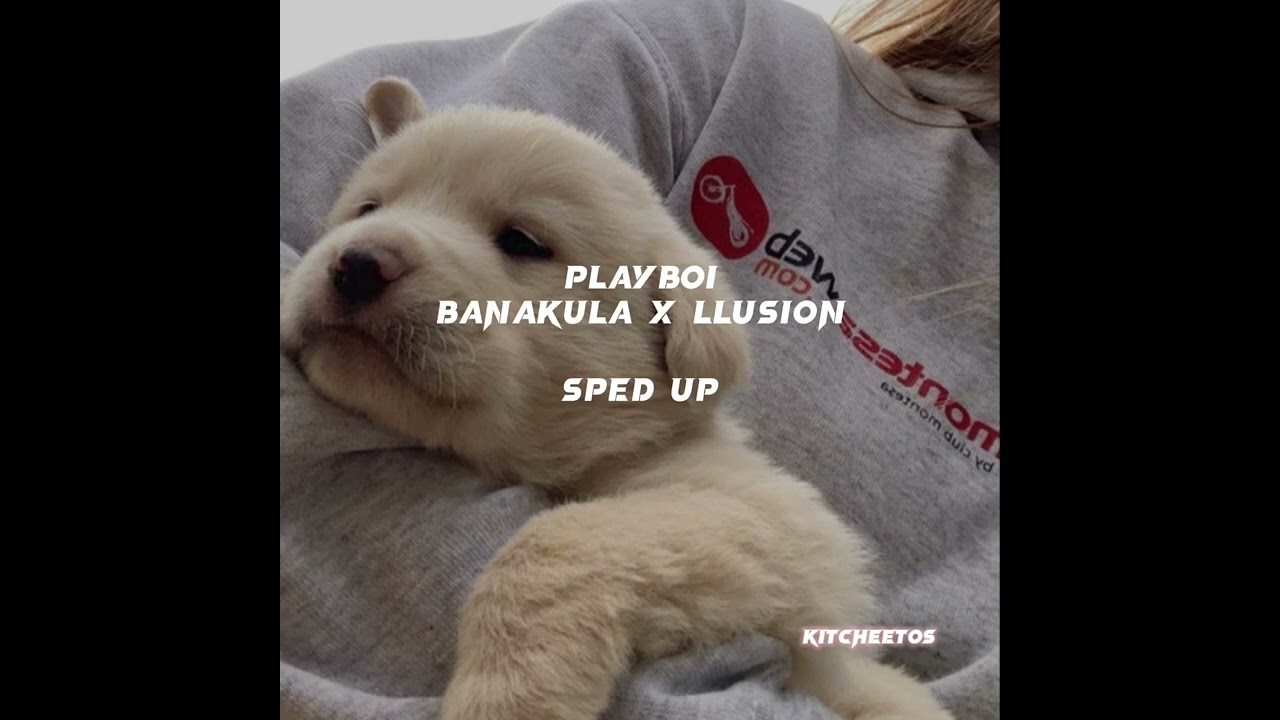Playboi - Banakula x Llusion // sped up