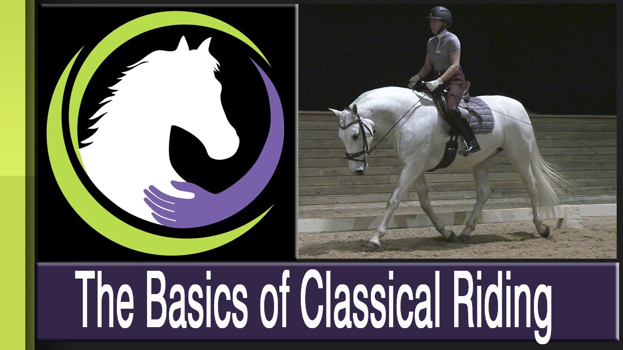 The Basics of Classical Riding: Achieving Balance Through Rhythm, Suppleness & Contact (trailer)