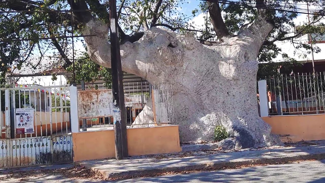 Izúcar de Matamoros, Puebla. Paseo por Barrio.