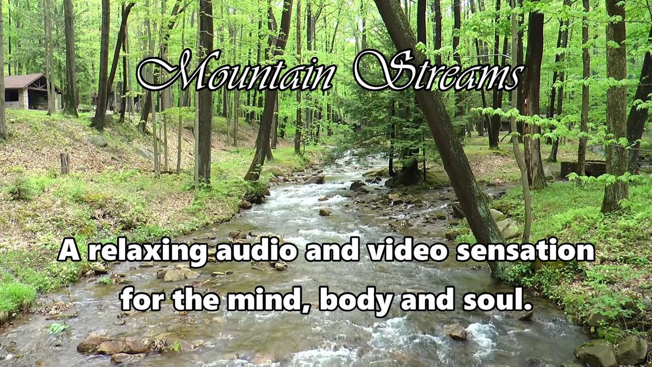 Relaxing Nature Mountain Streams