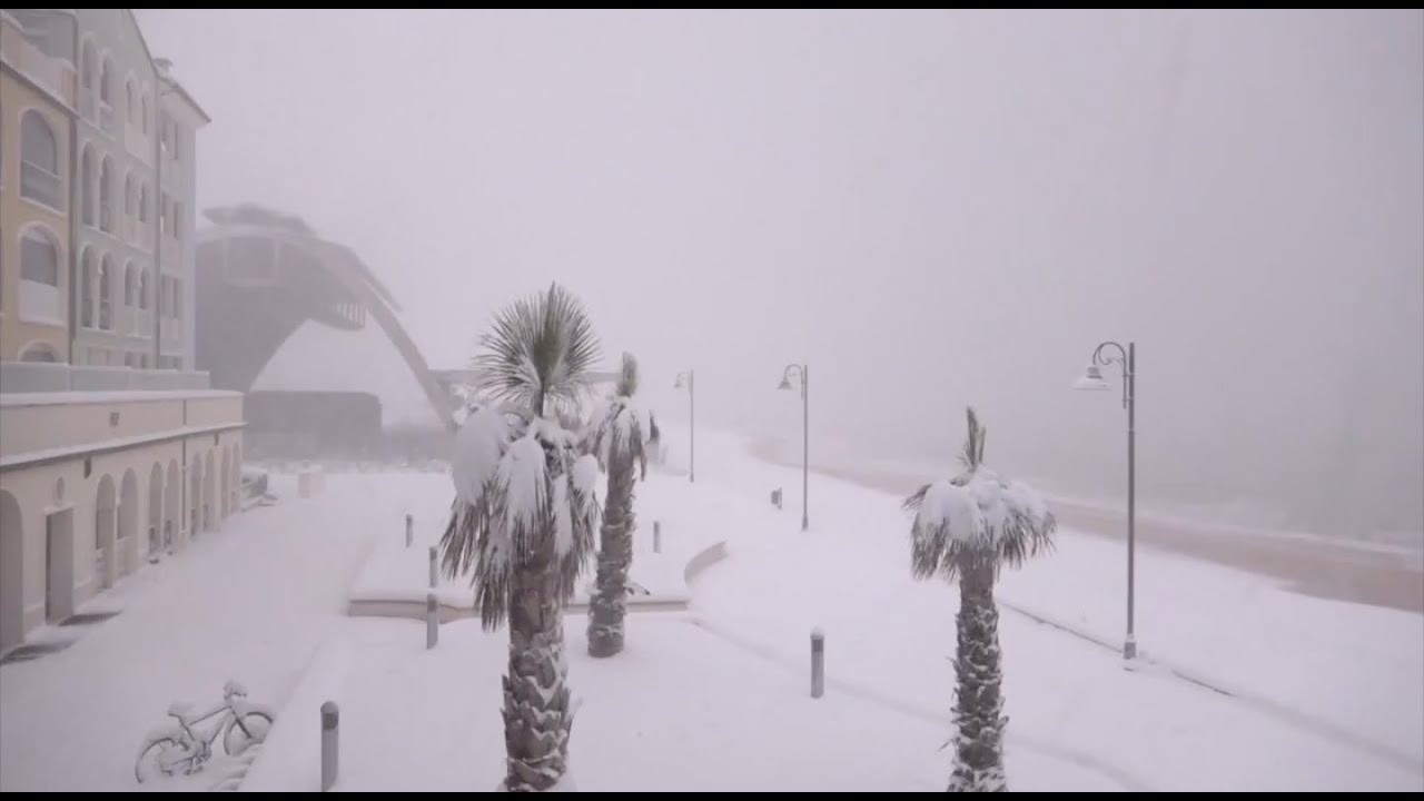 Italy - Heavy snowfall covers beaches and palm trees on the Adriatic coast