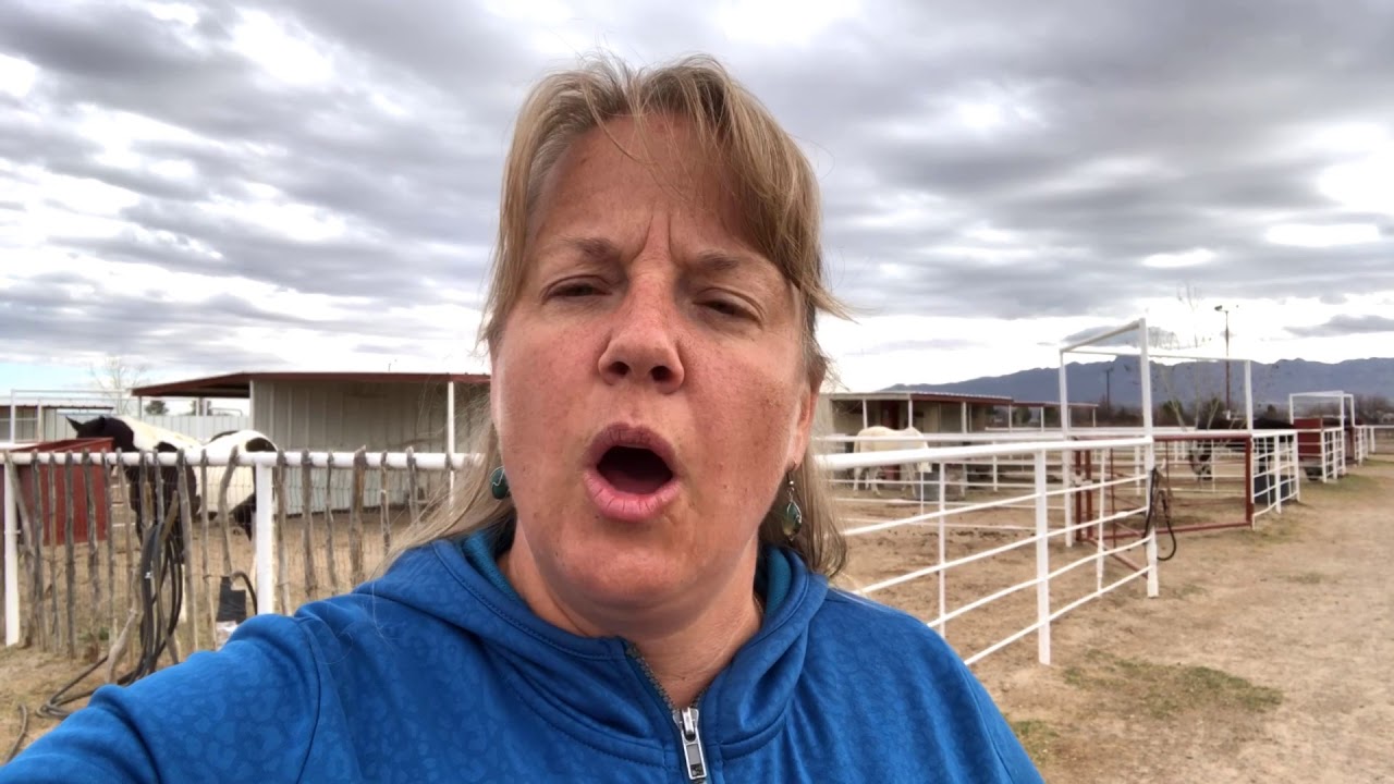 Veterinary tip of the day - Equine Arthritis
