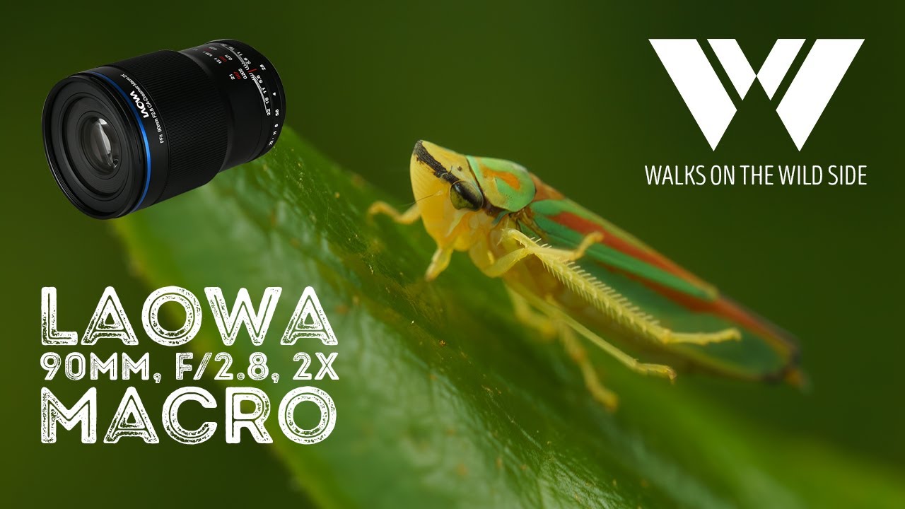 Обзор ультрамакро объектива Laowa 90mm f/2.8 2x