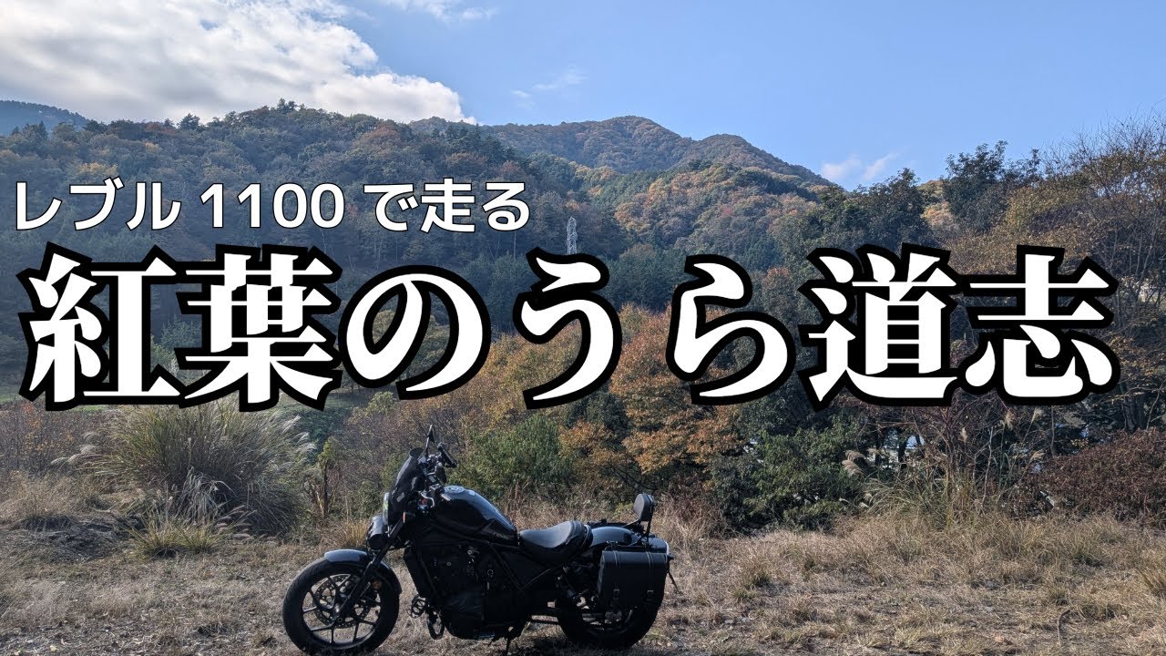 レブル1100で行く”うら道志”！！紅葉のツーリングをご視聴あれ【初心者向けうら道志ツーリング 前編】