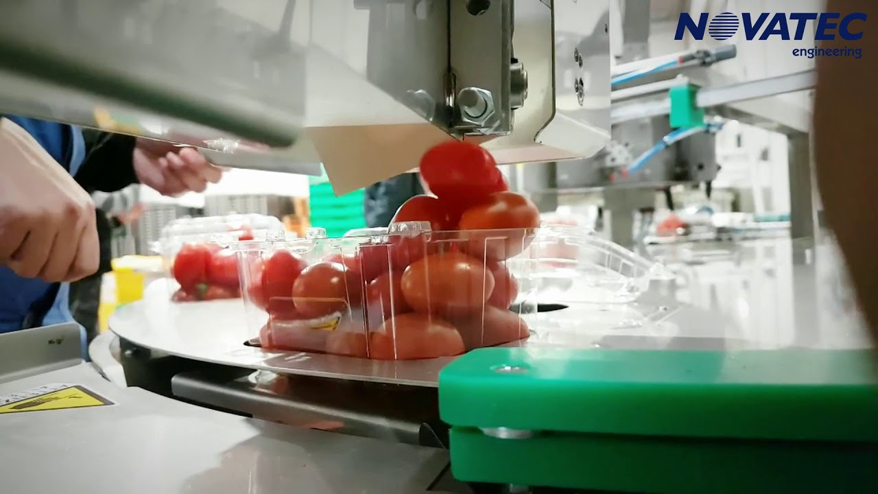 Novatec S.A. - Processing & Packing Line for Cherry Tomatoes & Berries (Blueberries, etc.)