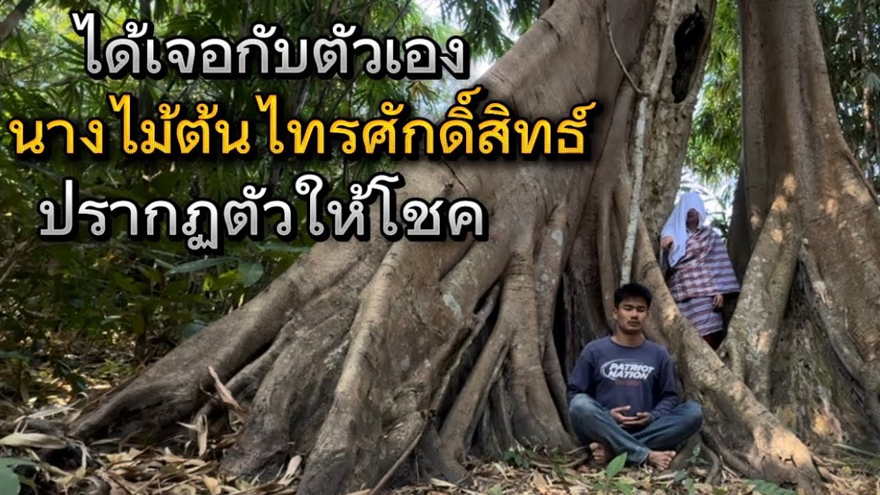 เป็นบุญมากๆ ได้เจอนางไม้ ผู้ดูแลต้นไทรศักดิ์สิทธิ์ ออกมาให้โชคครั้งใหญ่กับผม ดีใจจนพูดไม่ออก!!￼