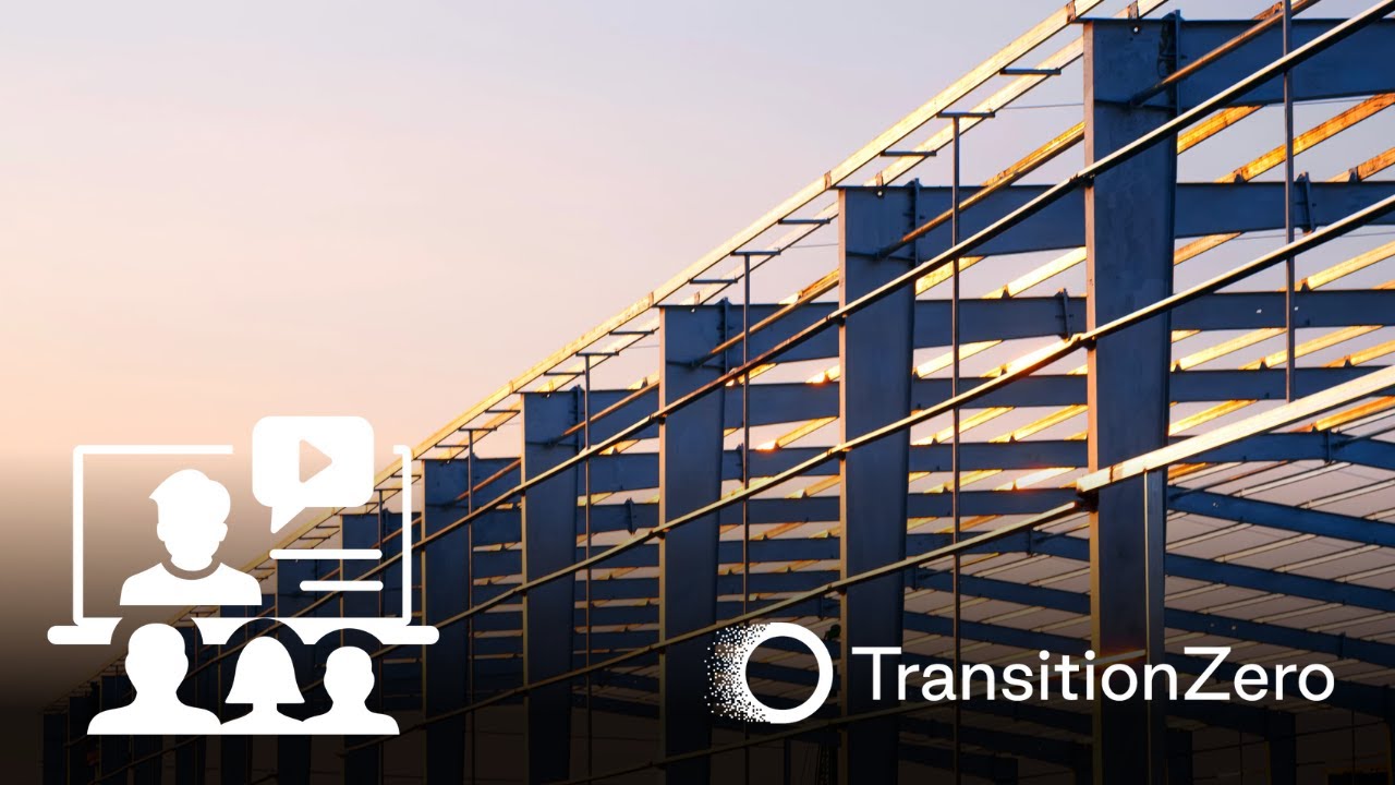 Decarbonising the steel industry: modelling pathways in Japan with TZ-OSeMOSYS-STEEL