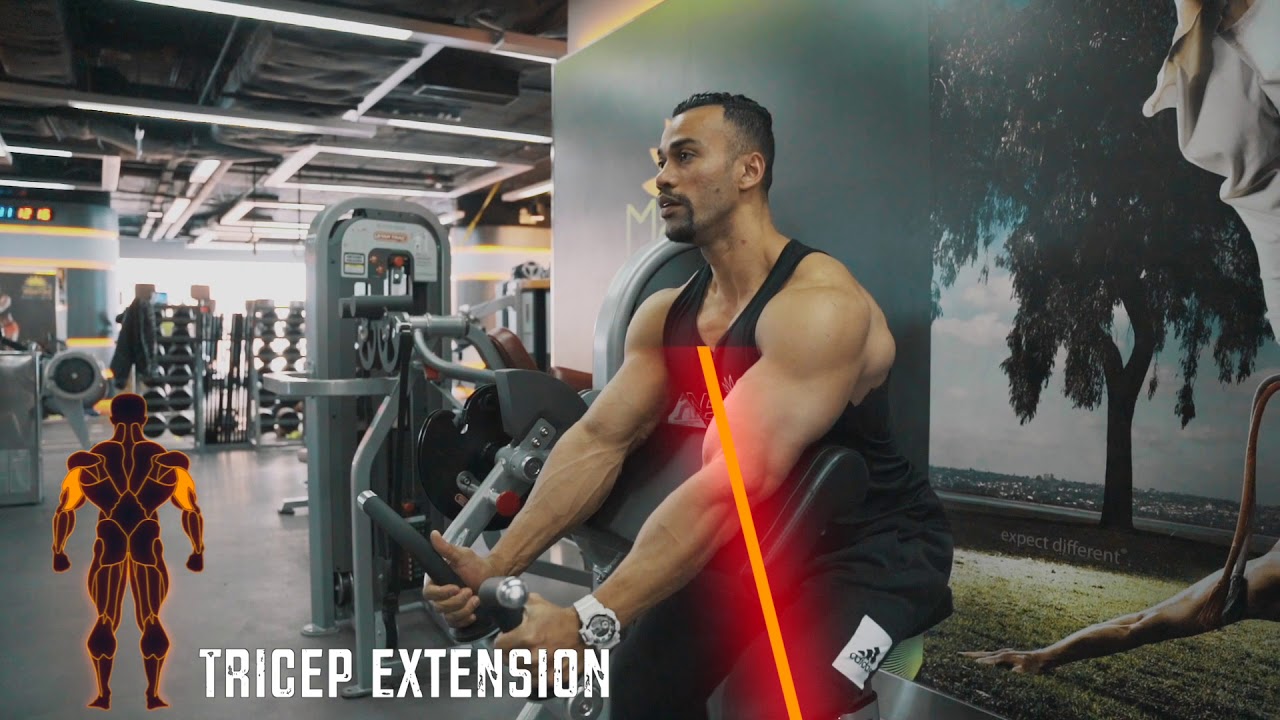 Nautilus Dual Bicep Curl & Tricep Extension Machine (Macao Fitness)