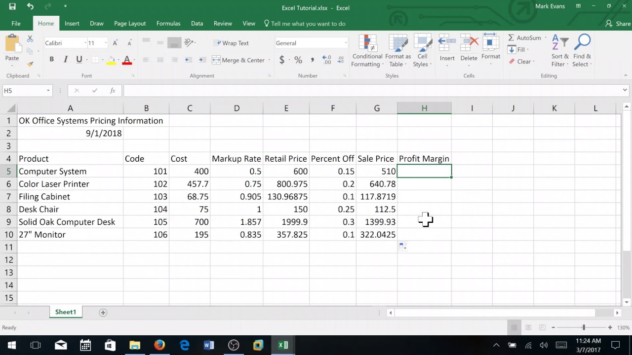 Creating a Sales Report in Excel:   Basic Level