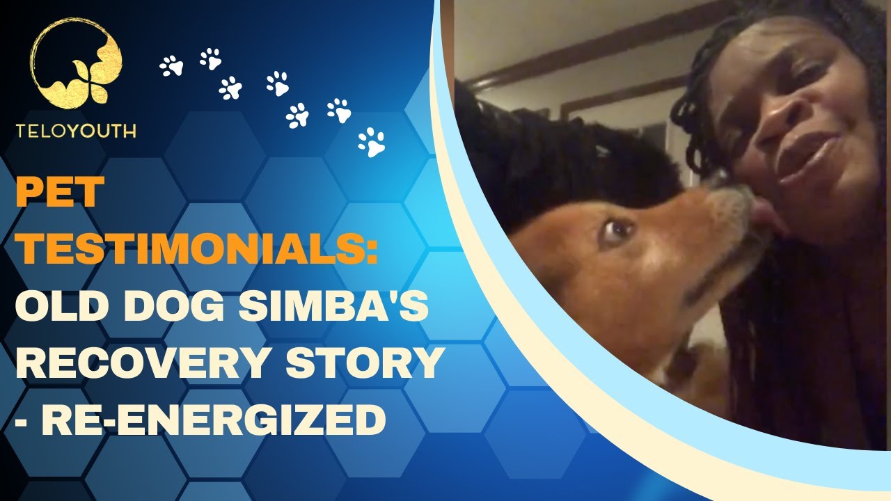 Old Dog Simba's Recovery Story - Re-Energized [TeloYouth TeloPet&trade;]