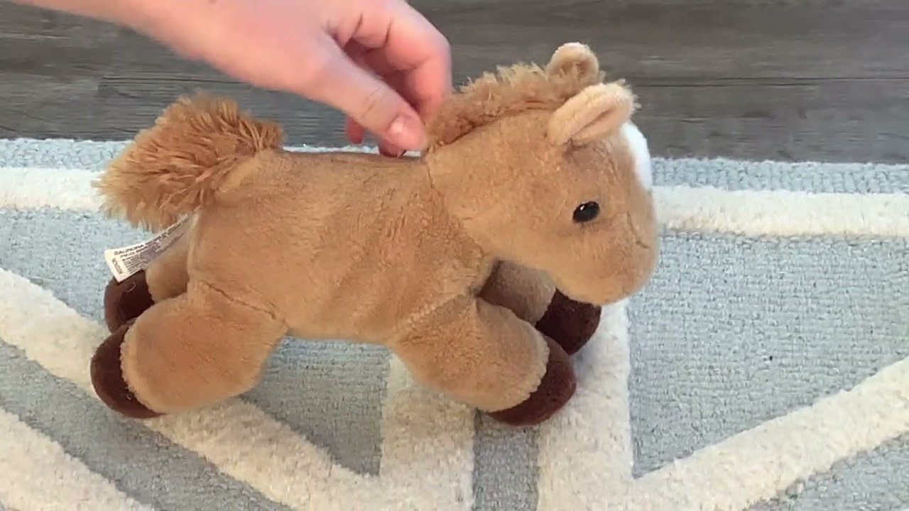 All About the 🐴 