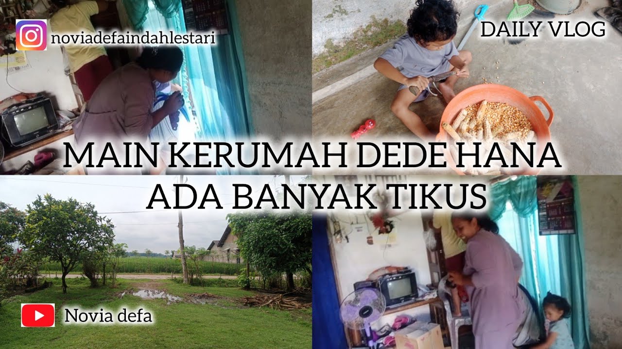 MAIN DIRUMAH DEDE HANA ADA BANYAK TIKUS #trending #trendingvideo #fyp #vloglampung #tikus #funny 