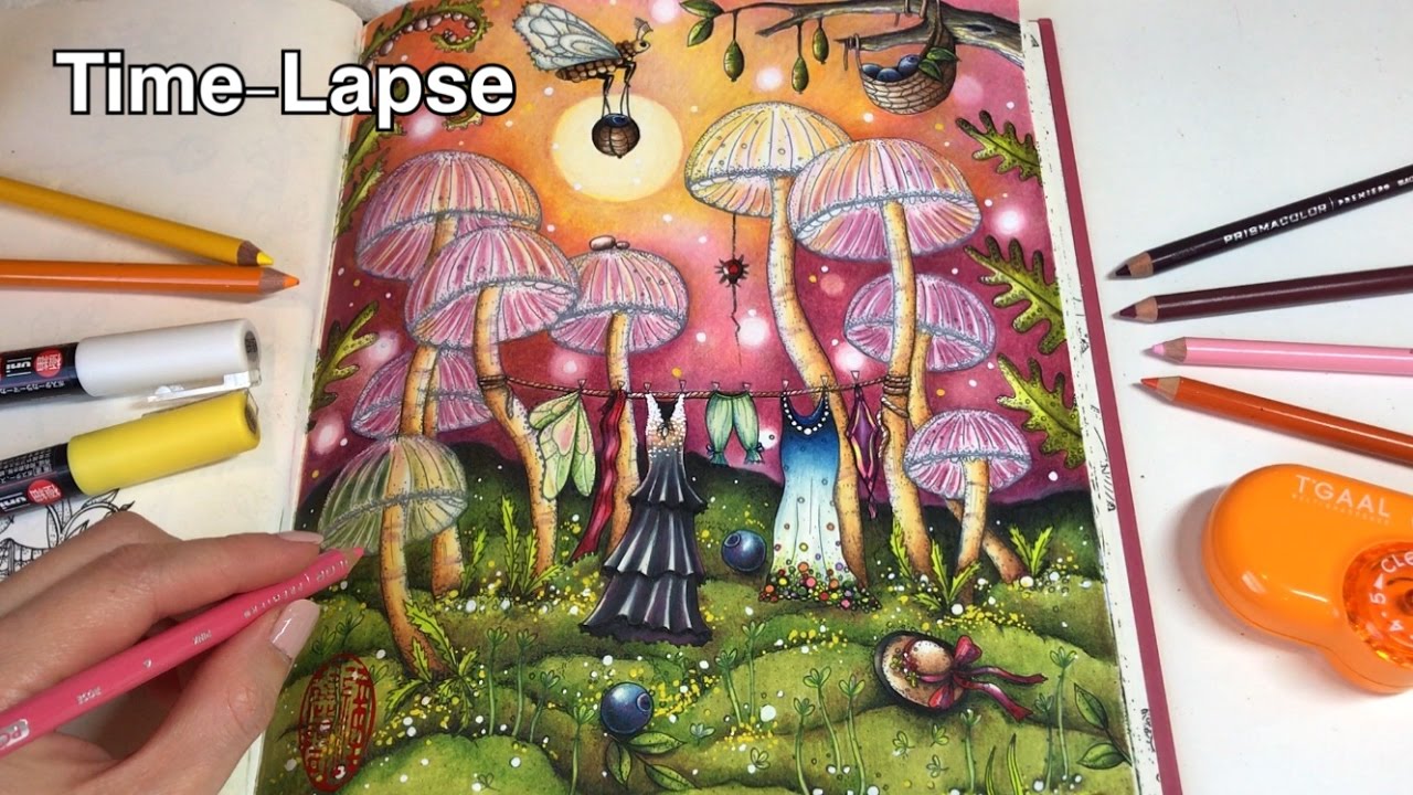 Time-Lapse 