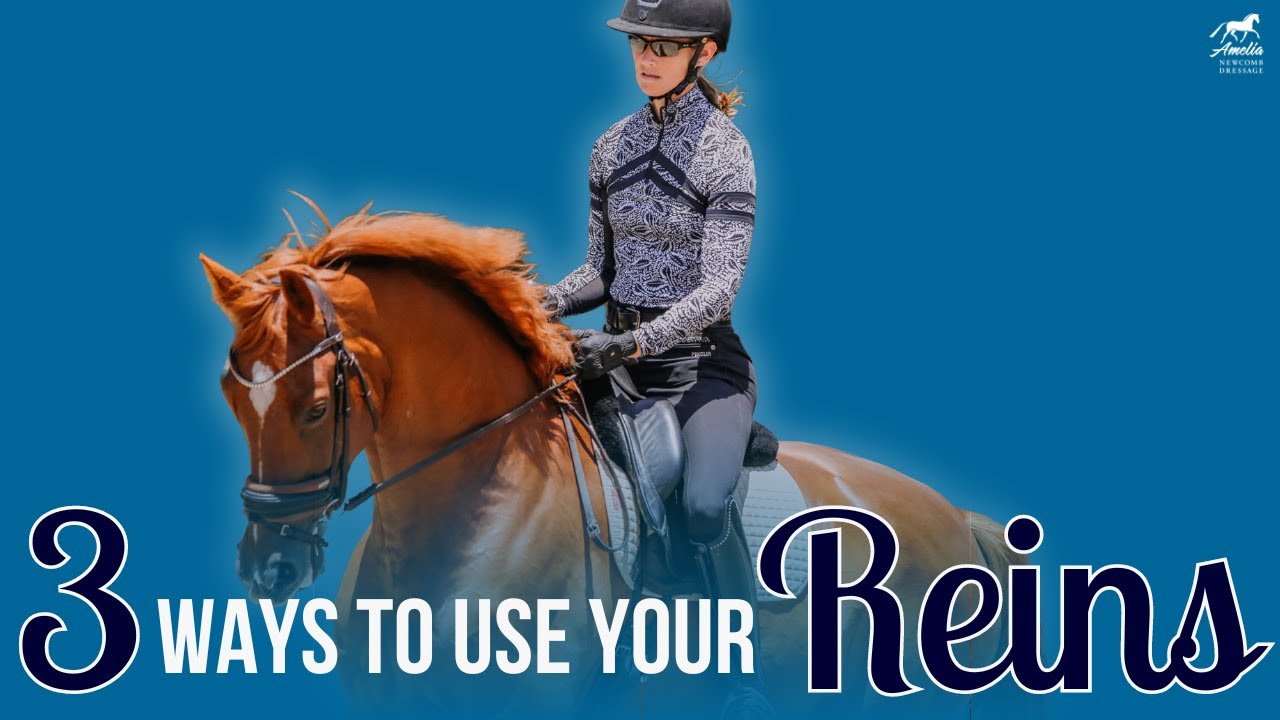 The Three Functions of Your Reins