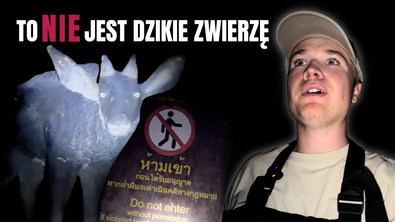 ZOBACZYŁEM TO W DŻUNGLI