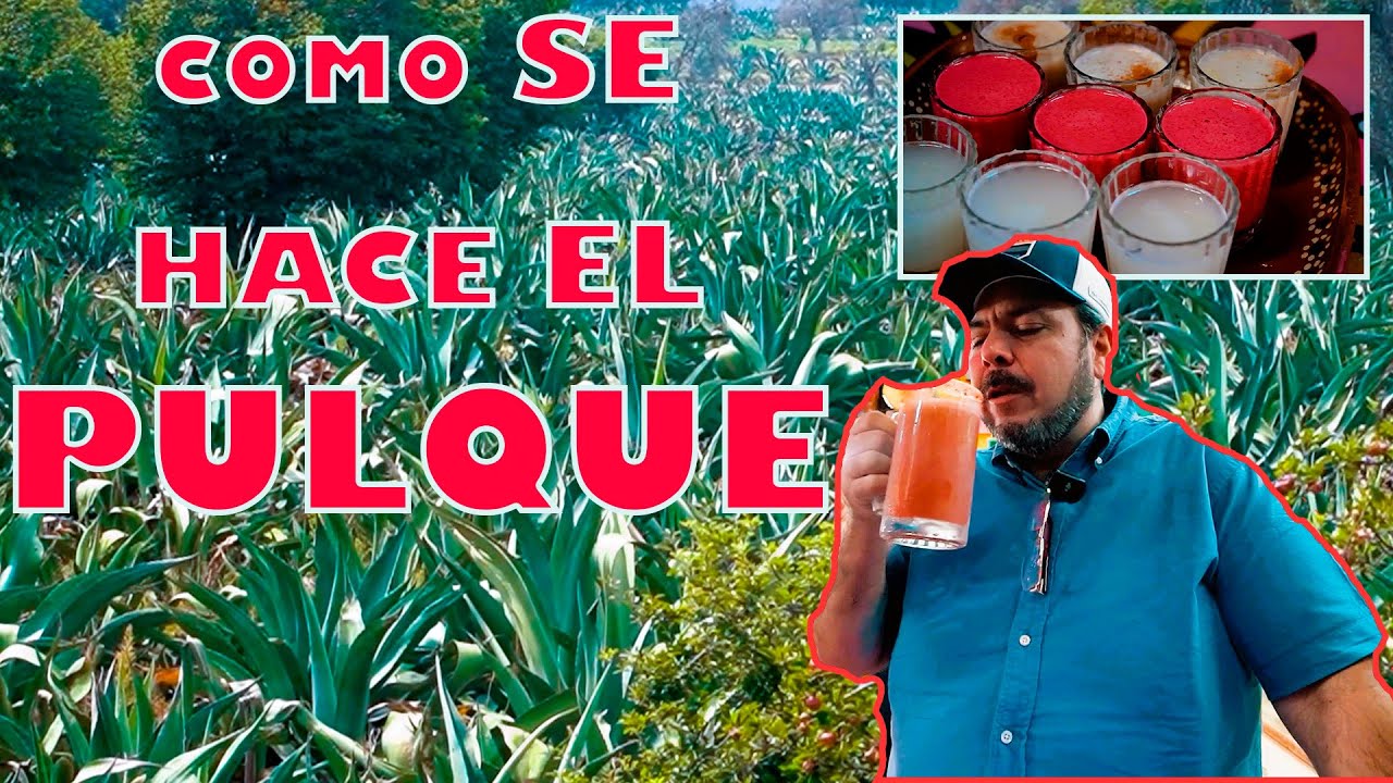 PULQUE : COMO SE HACE DESDE CERO l La Vaquita
