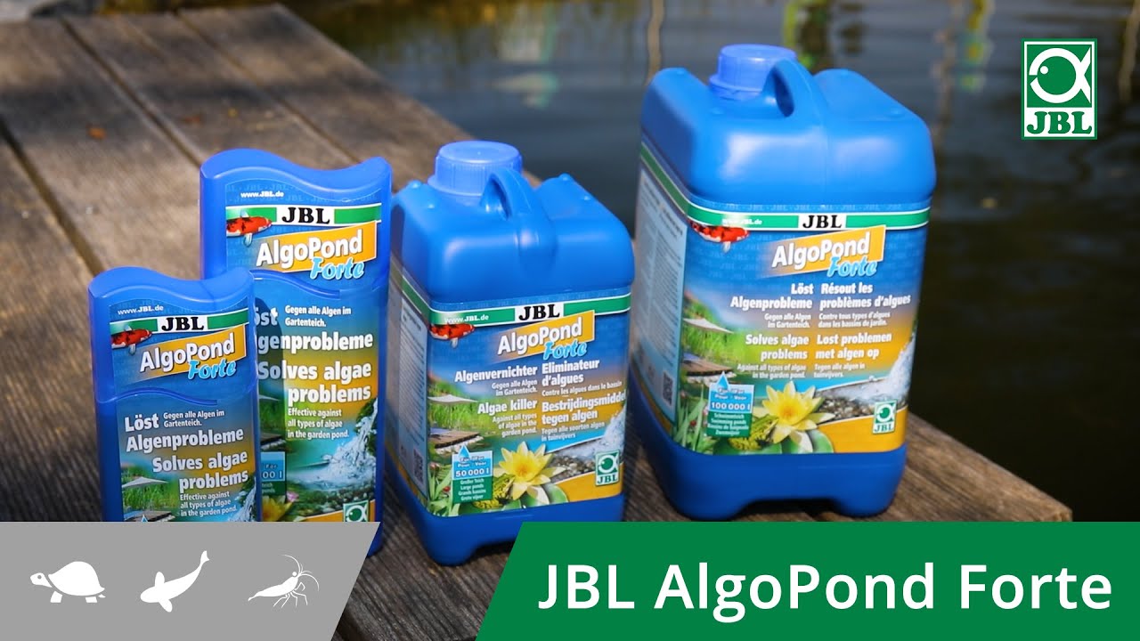 L&ouml;st Algenprobleme im Teich - Mit JBL AlgoPond Forte gegen alle Arten im Gartenteich