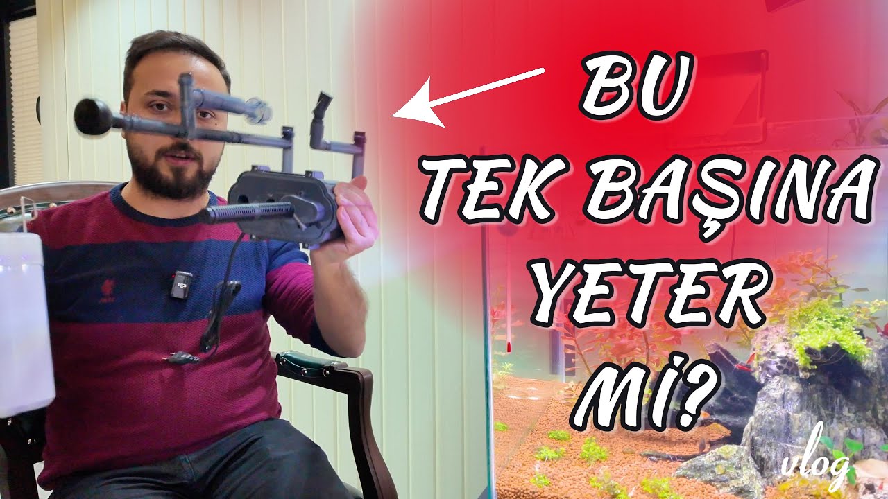 Akvaryumu Buna Emanet Ettim 🤔